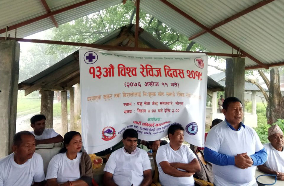 पथरीशनिश्चरेमा रेविज विरुद्ध खोप