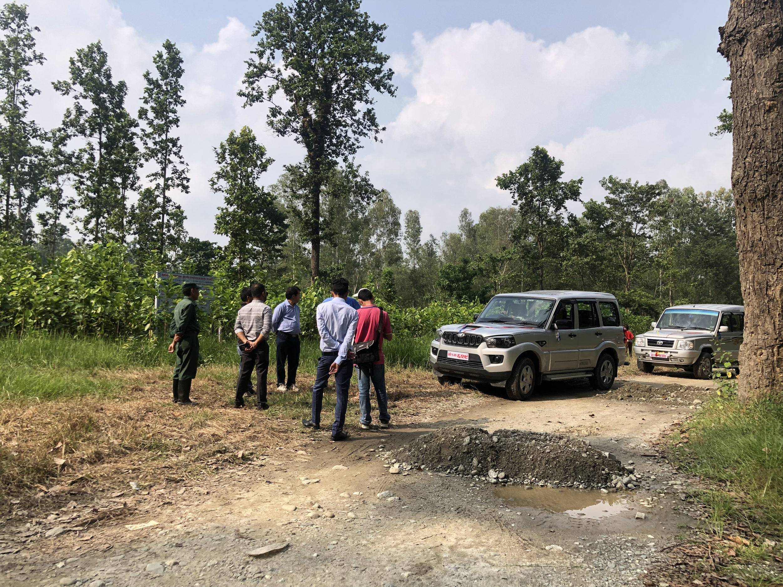 सचिव राईले हरियाली वन अवलोकन गरे