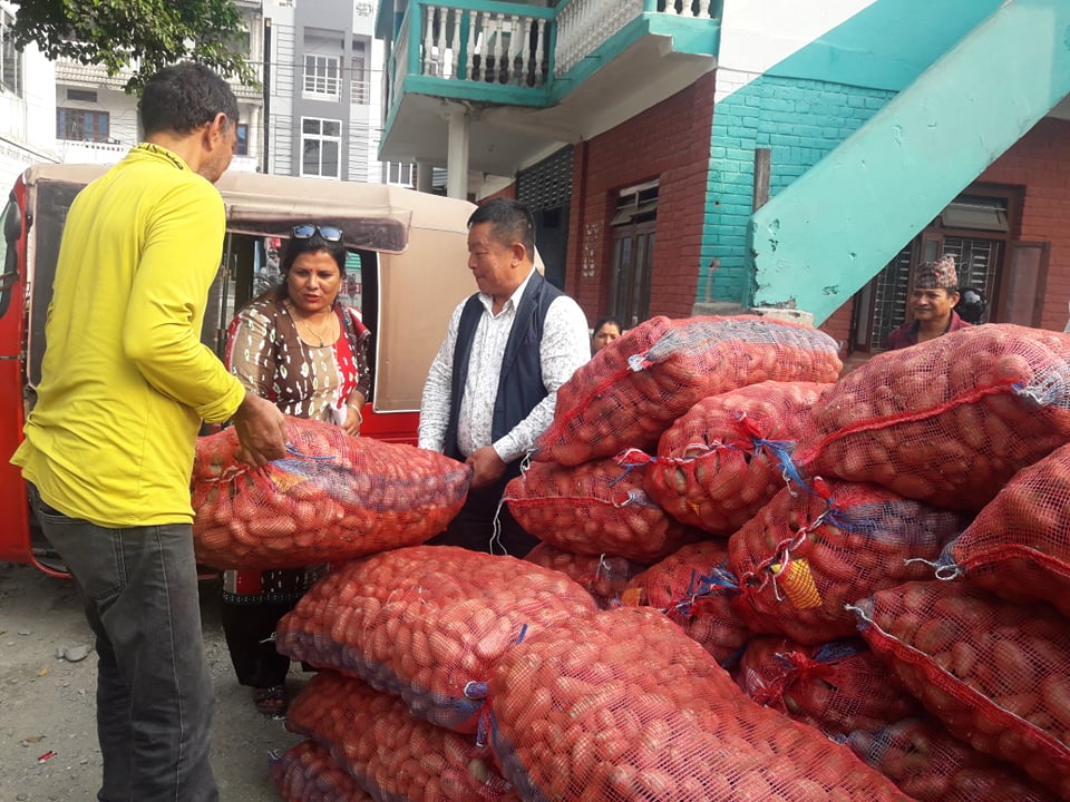 उन्नत जातको आलुको विउ वितरण