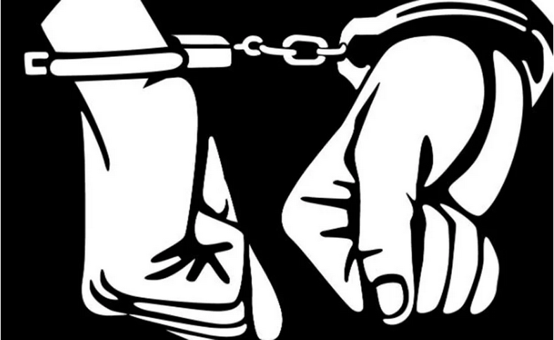 सशस्त्रका इन्सपेक्टर र सहायक हवल्दार नै ६ हजार घुससहित पक्राउ