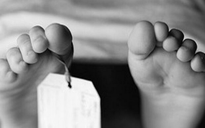 भिरबाट लडेर धनकुटामा एक जनाको मृत्यु