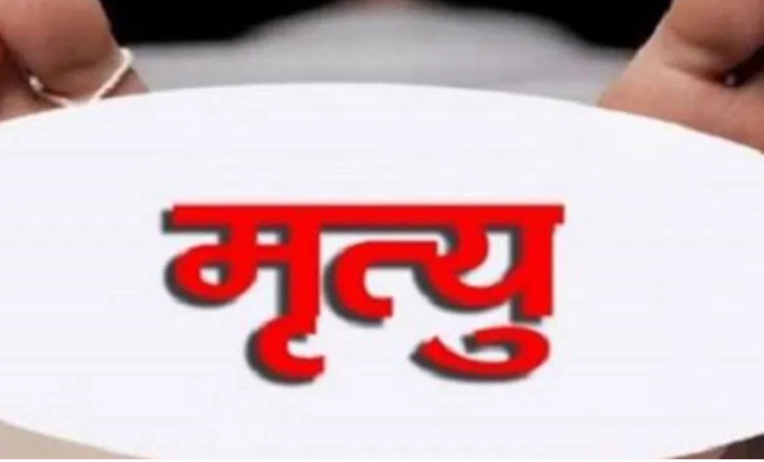 ट्रकको ठक्करबाट एकको मृत्यु