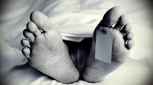 अटो दुर्घटनामा वडा सदस्यको मृत्यु