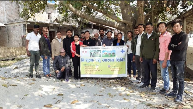 पशुस्वास्थ्य शिविर सम्पन्न