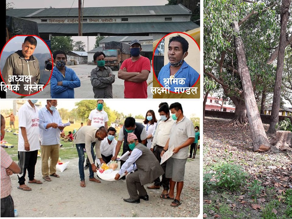 राहत वितरण देखि अबैध रुख कटान तथा मजदुरमाथि कुटपिटका विषयमा कांग्रेसले बुझायो ध्यानाकर्षण पत्र