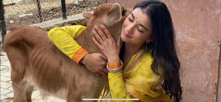 गाईलाई असाध्दै माया गर्छिन नायिका सुहाना थापा, सार्वजनिक गरिन यति सुन्दर-सुन्दर तस्विरहरु