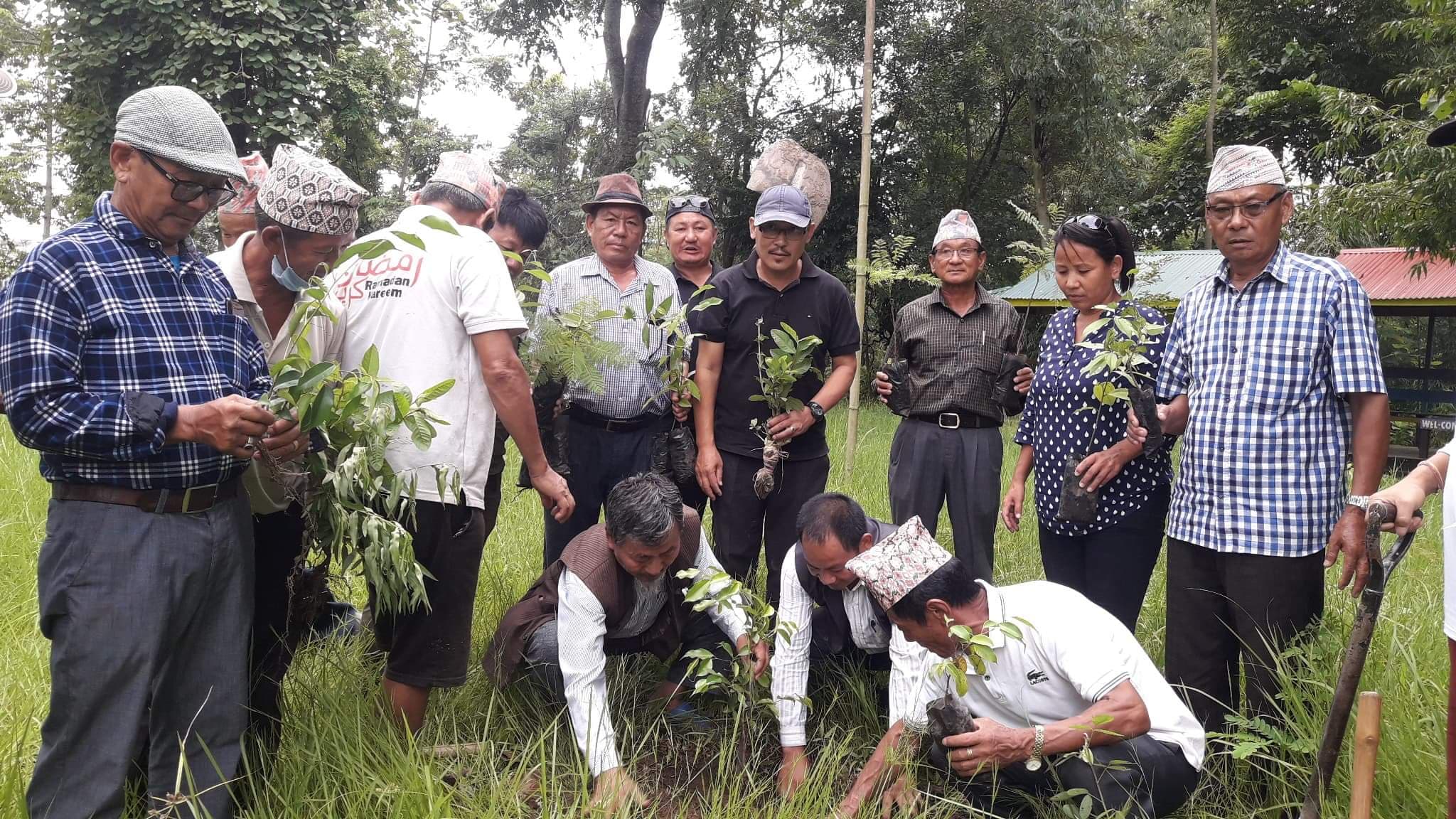 यायोक्खाद्वारा पथरीको साकेला थानमा वृक्षरोपन