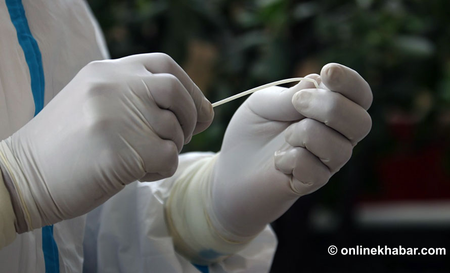 राष्ट्रिय क्रिकेट टिमका खेलाडीको पीसीआर परीक्षण गर्ने तयारी