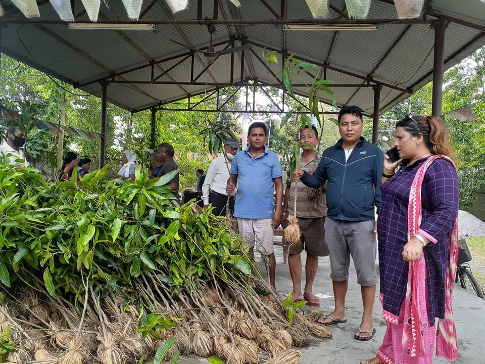 भूटानी शरणार्थी प्रभावित क्षेत्रमा फलफुलका विरुवा वितरण