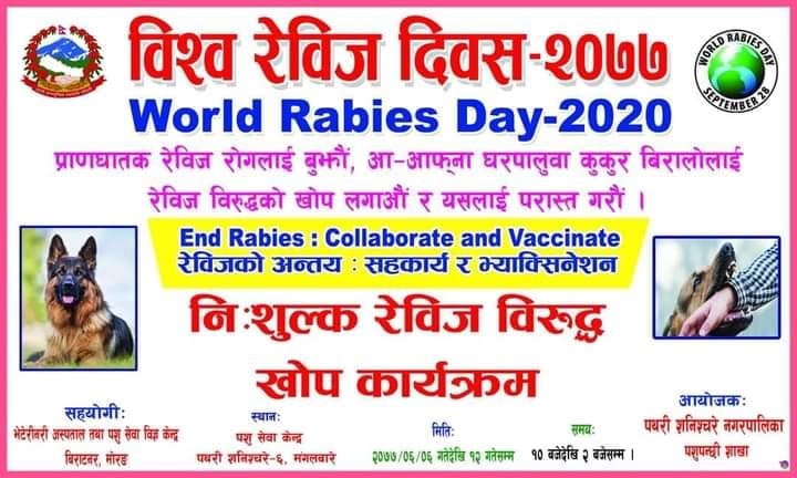 पथरीमा रेविज सप्ताहमा निःशुल्क खोप