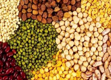 पाँच वर्षअघि उपभोग मिति समाप्त दाल बिक्री