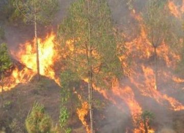 डढेलोले खोटाङमा ४ वटा घर र एउटा बाख्रा फार्म जलेर नष्ट