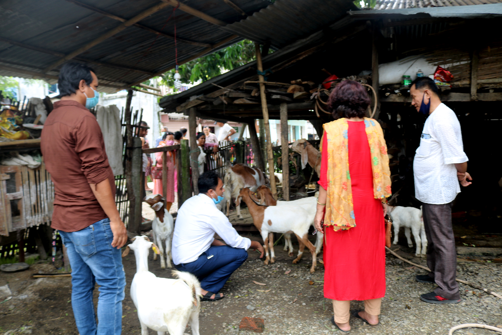 पथरीशनिश्चरे १० मा बाख्रा वितरण