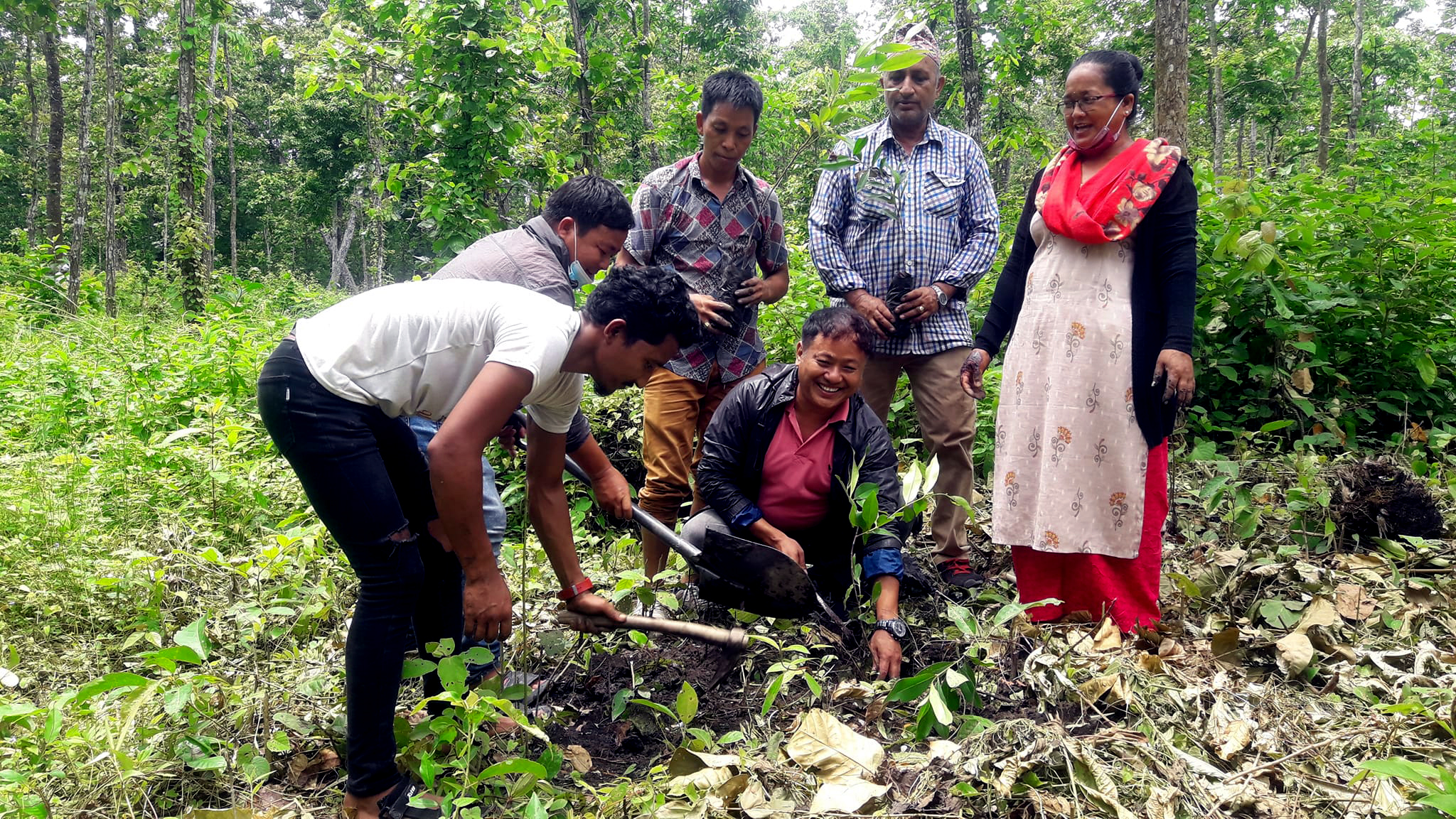 हरियालीमा ६ सय फलफूलको विरुवा रोपण