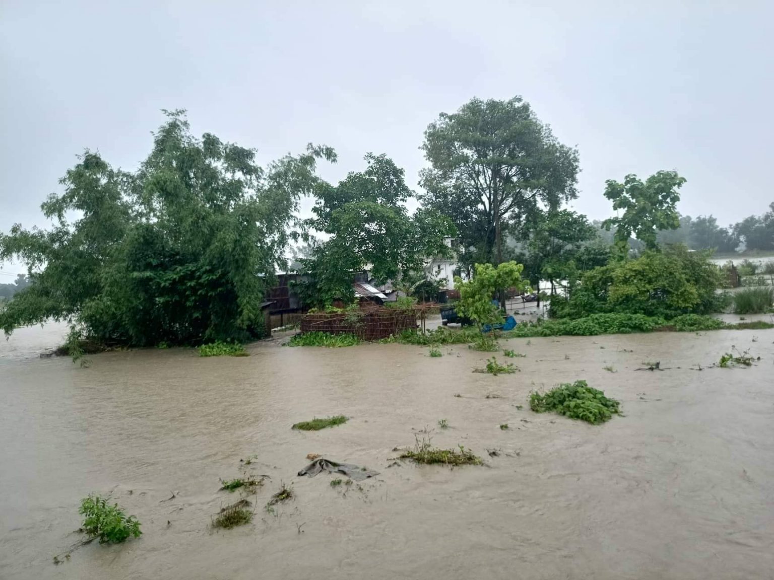 भारी वर्षाले झापा डुवानमा