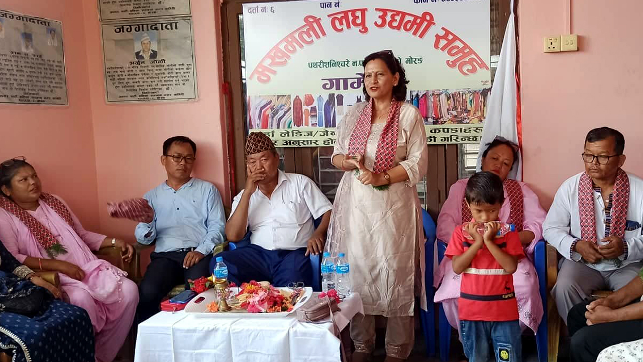 पथरीशनिश्चरे २ मा गार्मेन्ट उद्योग स्थापना