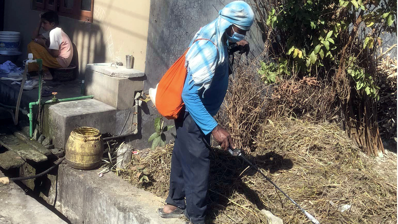 पथरीशनिश्चरेमा डेंगुको औषधि छिट्न सुरु
