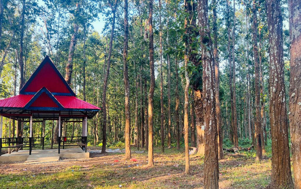 पिकनिकको लागि उचित स्थान पथरीको हरियाली पार्क