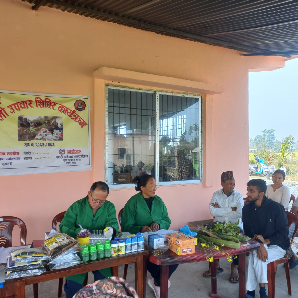 पथरी शनिश्चरेमा वाली उपचार शिविर